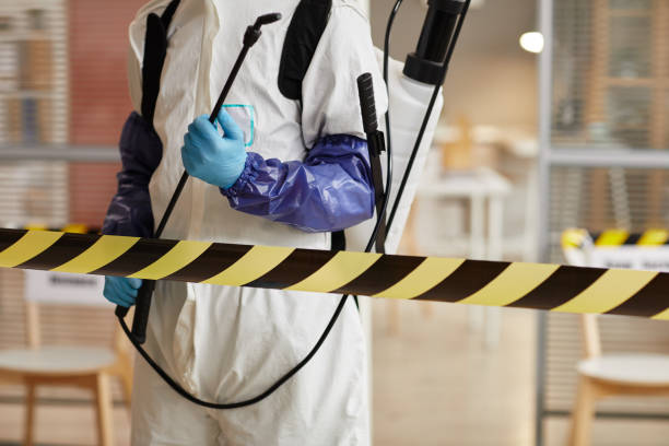 Professional Sewage Cleanup technician working in Logan, UT
